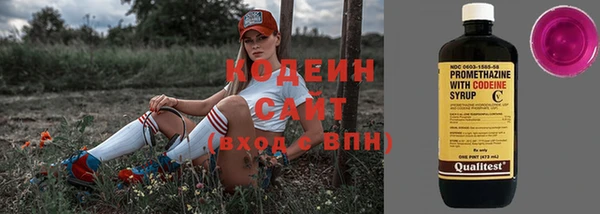 гашик Богданович